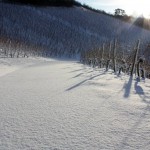Weinbau-Winter